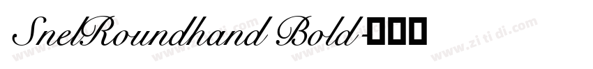 SnelRoundhand Bold字体转换